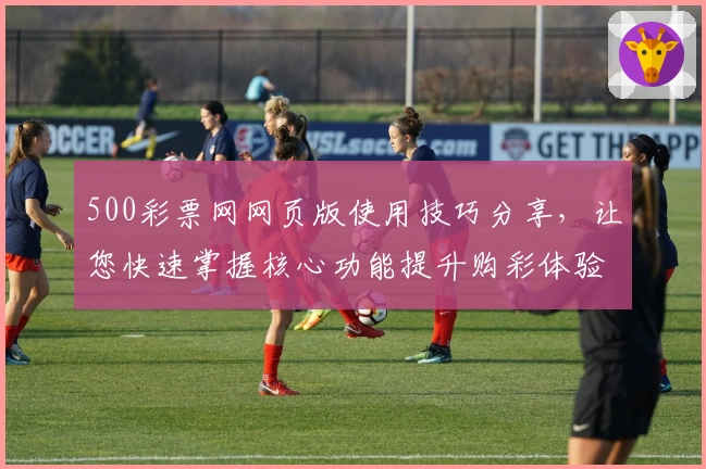 500彩票网网页版使用技巧分享,让您快速掌握核心功能提升购彩体验