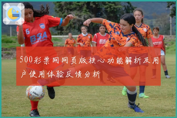 500彩票网网页版核心功能解析及用户使用体验反馈分析